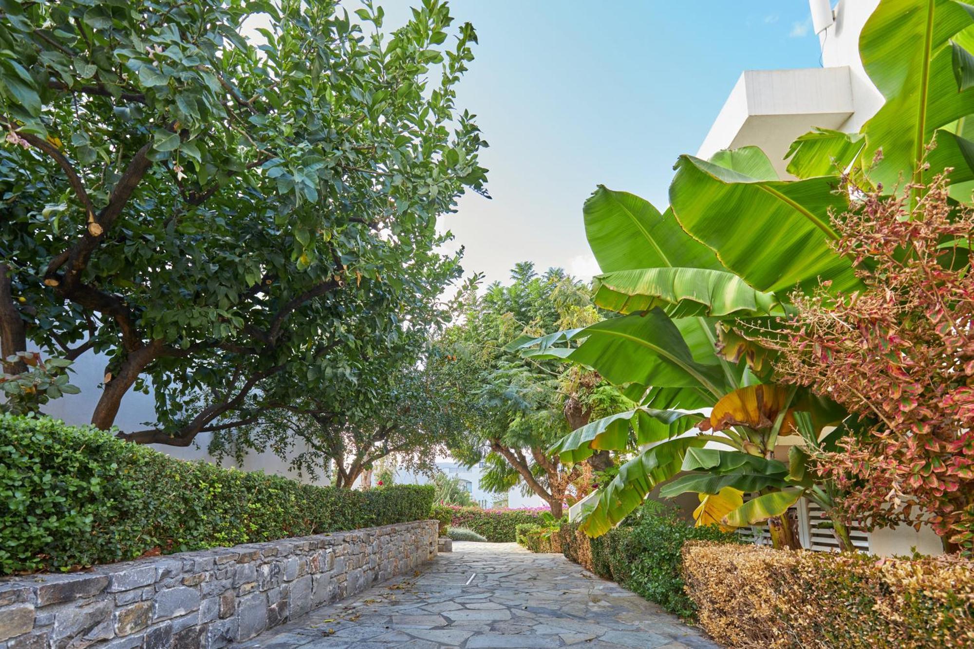 Kyknos Beach Hotel & Bungalows Mália Kültér fotó